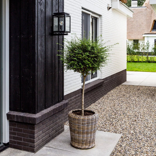 Gevellamp met bewegingssensor de Vecht