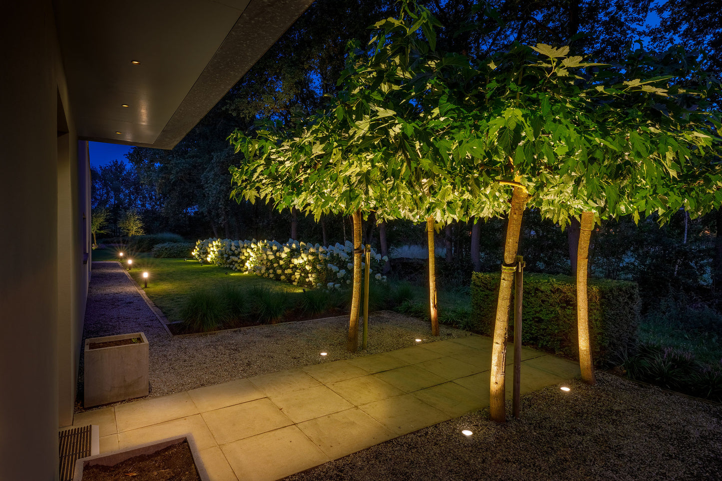 12 volt tuinverlichting bomen belichten