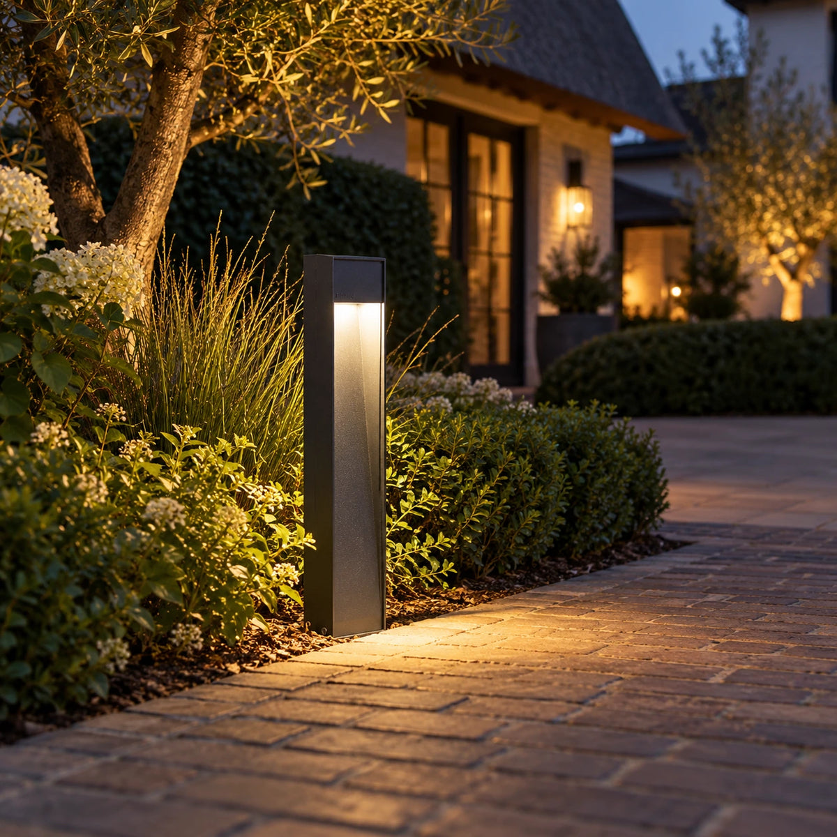Staande lamp Downlight