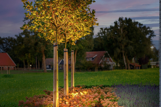 Beste 12 volt tuinverlichting Grondspots