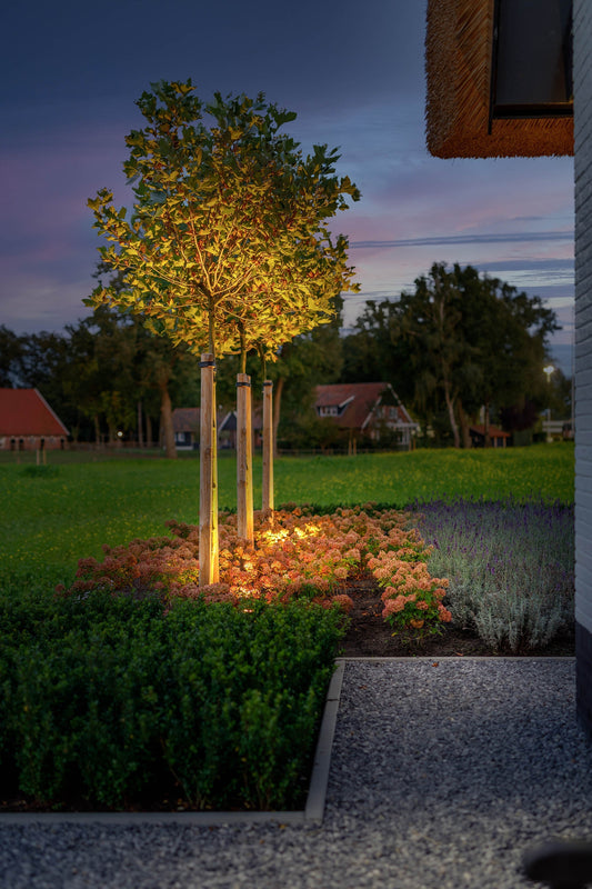 12 v tuinverlichting bomen belichten