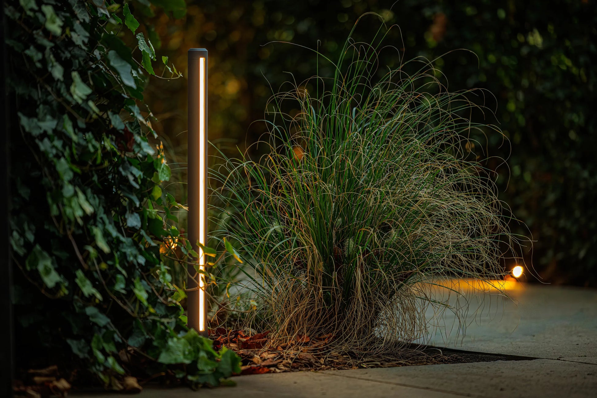 Lightpro Lino sfeer