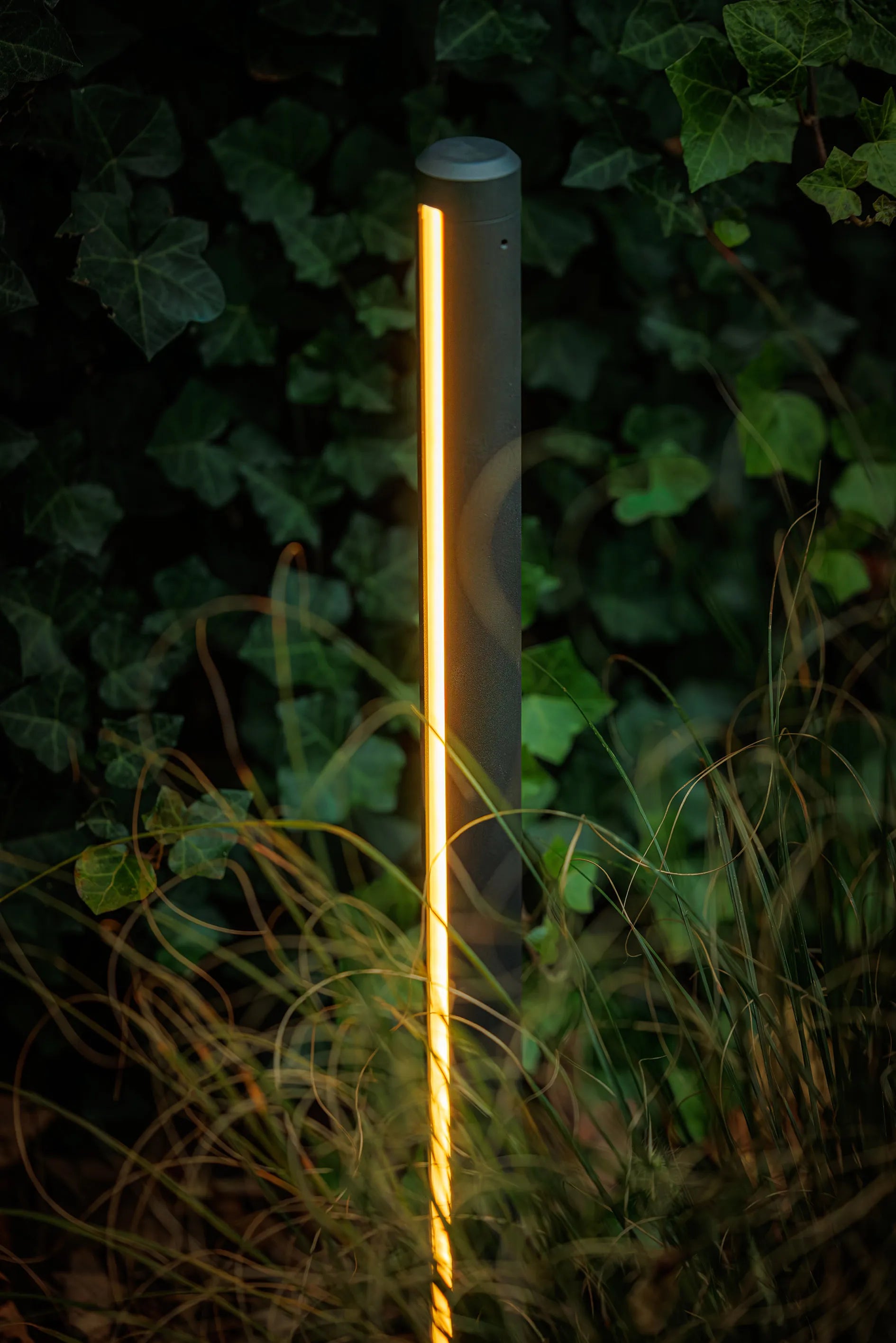 Lightpro Lino sfeer close