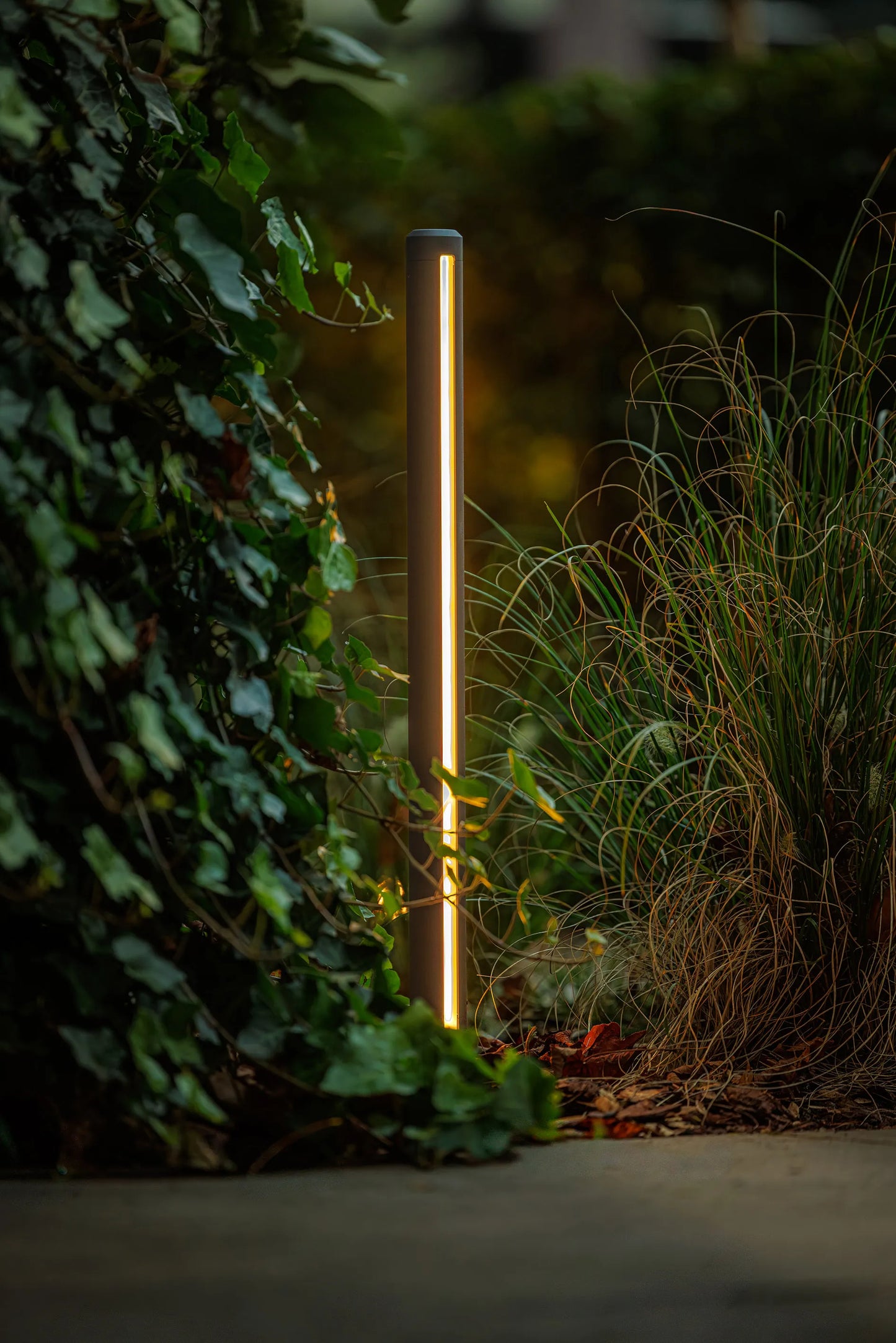 Lightpro Lino sfeer 2