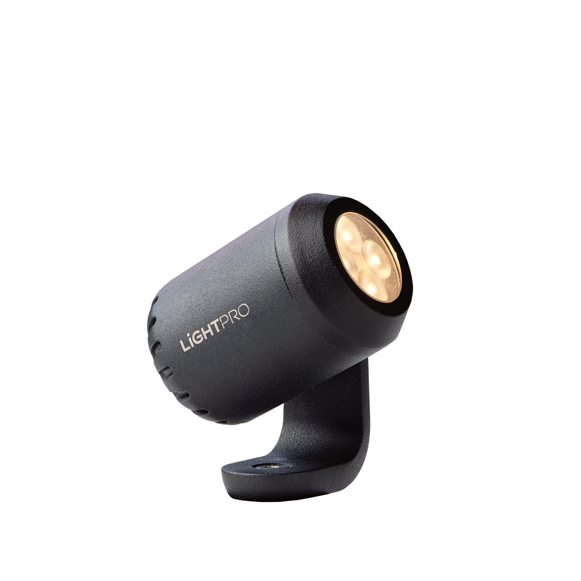 LichtPro 12 volt tuinverlichting Juno 4 spot