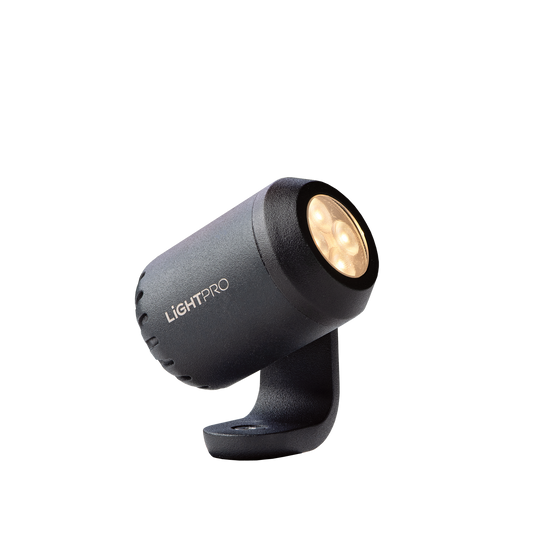 LichtPro 12 volt tuinverlichting Juno 4 spot
